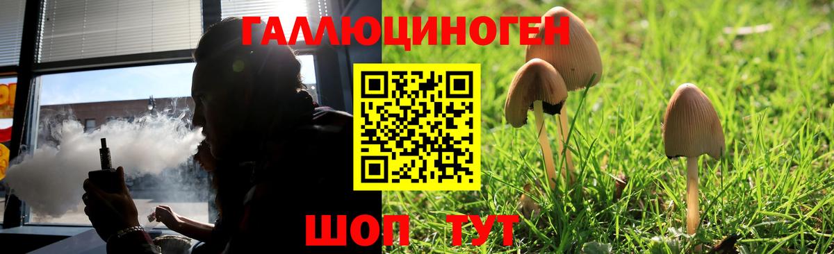 Галлюциногенные грибы GOLDEN TEACHER  Галлюциногенные грибы Psilocybine cubensis  Уварово  Вход с VPN 